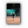 JNTP2013_008.jpg